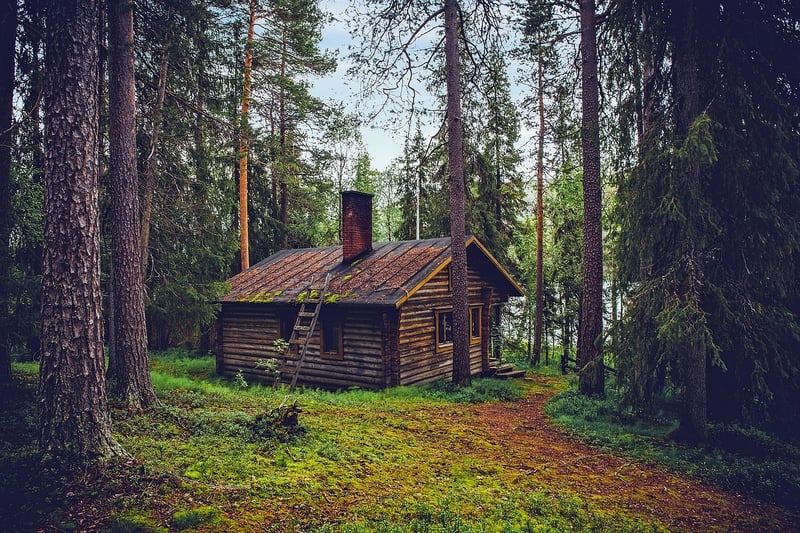 Forest Cabin